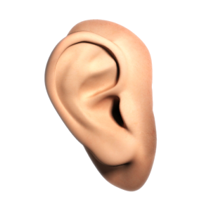 Ear PNG