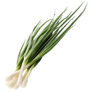 Leek PNG