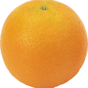 Orange PNG image, free download