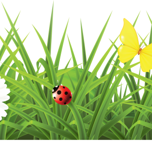 grass png image, green picture