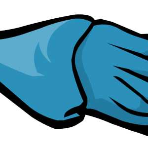 Squid PNG