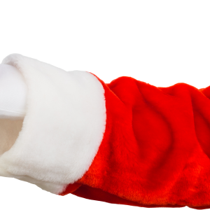 Christmas gift in hand box PNG