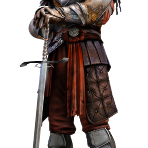 Medieval knight PNG