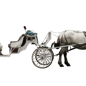 Carriage PNG