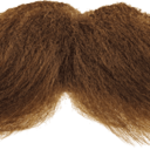 Moustache PNG