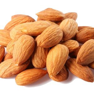 Almond PNG