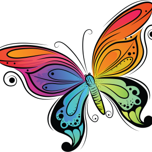 color butterfly PNG