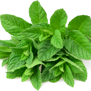 Pepermint PNG