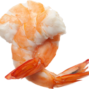 Shrimp PNG image