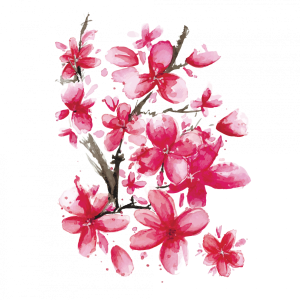 Sakura PNG
