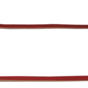 Leash PNG