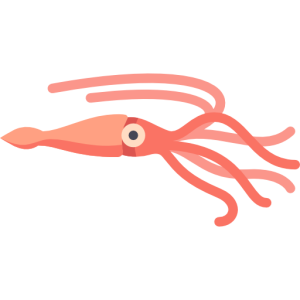 Squid PNG