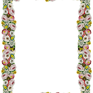 Floral frame PNG