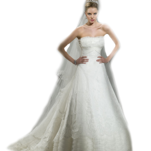 Bride PNG