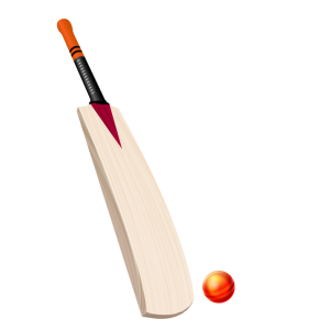 Cricket bat PNG