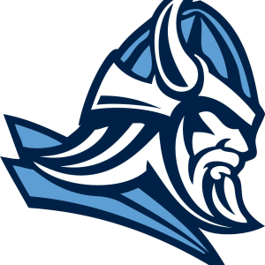 Viking head PNG