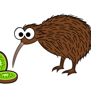 Kiwi bird PNG