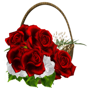 Rose PNG
