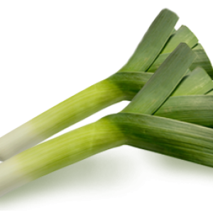 Leek PNG
