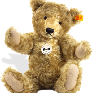 Teddy bear PNG