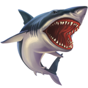 Shark PNG