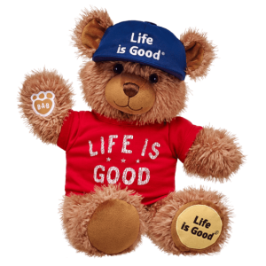 Teddy bear PNG