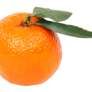 Mandarin PNG