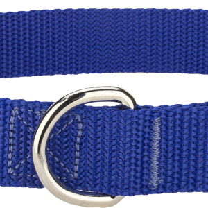 Dog collar PNG