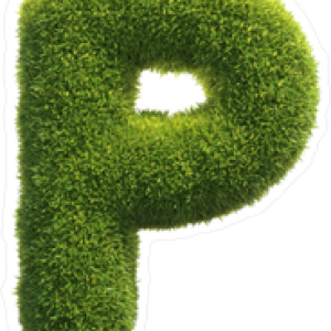 Letter P PNG