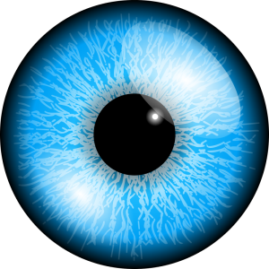 Eye PNG image