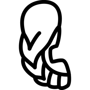 Virgo PNG