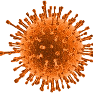 Virus PNG