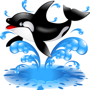 Killer whale PNG