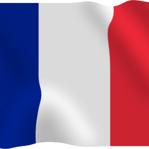 France flag PNG
