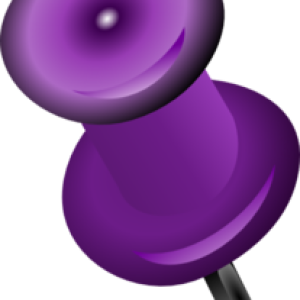 Pin PNG