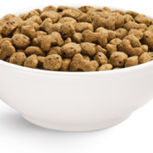 Dog food PNG