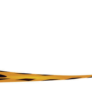 Police tape PNG