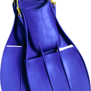 Flippers PNG