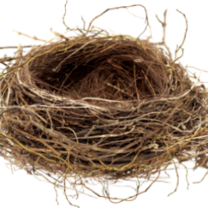 Nest PNG