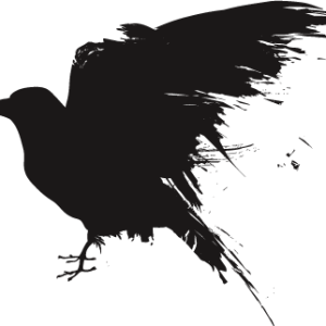 Raven PNG