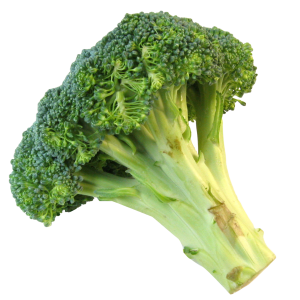 Broccoli PNG