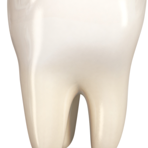 tooth png