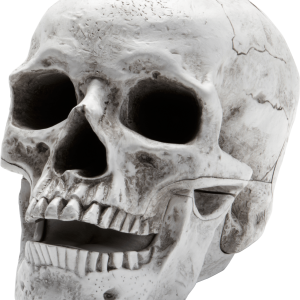 Skull PNG