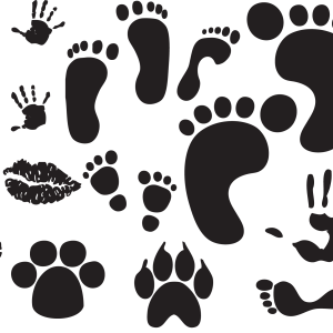 Footprints PNG