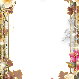 Floral frame PNG