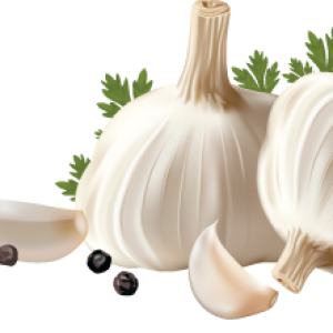 Garlic PNG