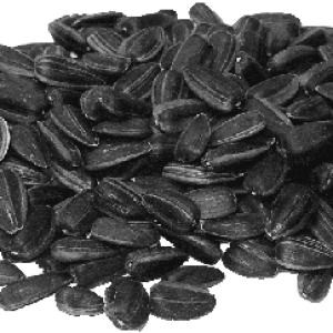 Sunflower seeds PNG