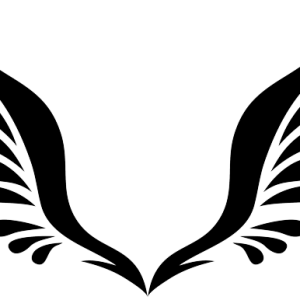 Wings PNG