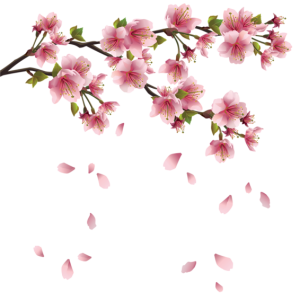 Sakura PNG