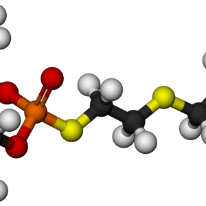 Molecule PNG